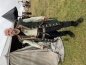 Preview: Gothic Weste Mantel Jacke Lang Wolle Larp Mittelalter Anfertigung Köln Grün